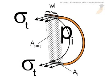 Spannung-Wursthaut-tangential Spannung Wursthaut tangential