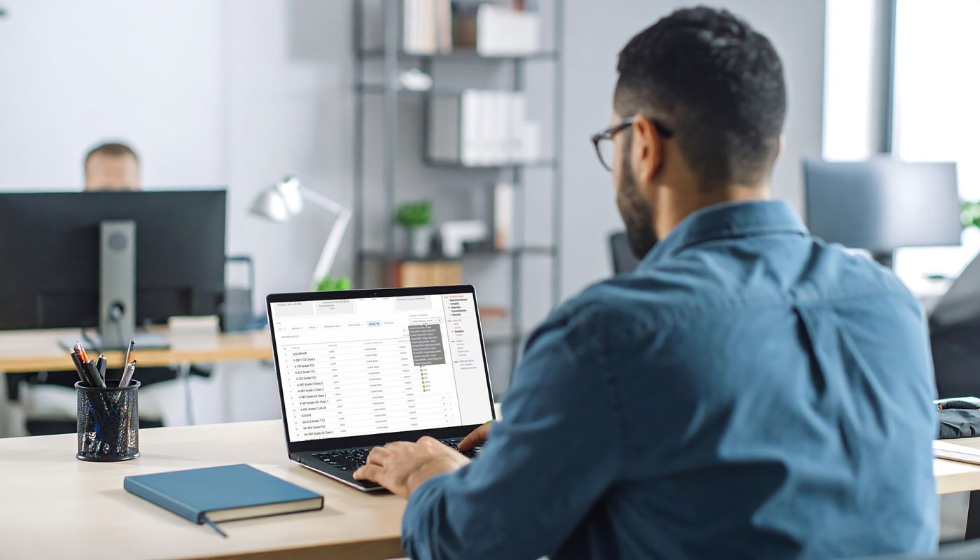 Arbeitsplatz Person Bildschirm Total Materia Person am Arbeitsplatz mit geöffneter Total Materia Software auf dem Bildschirm