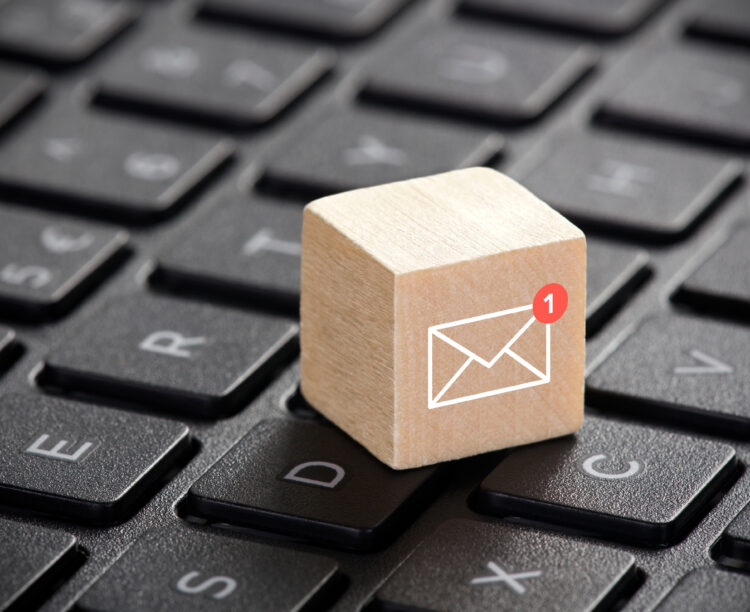 Newsletter, New Services, Email